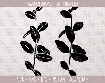 Conjunto de formas de jardim, galhos botânicos com folhas SVG para arquivo de corte de estêncil de silhueta Cricut, silhueta de folha desenhada à mão, artesanato faça você mesmo