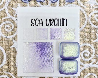 Sea Urchin | Handmade Watercolor Paint | Colourshift | Paw Sampler | 1ml Quarter Pan | 2ml Half Pan