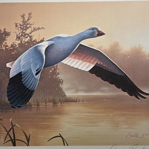 1988–89 Complete Set - Federal Duck Stamp Medallion Edition – Daniel Smith Signed Print + Gold Medallion