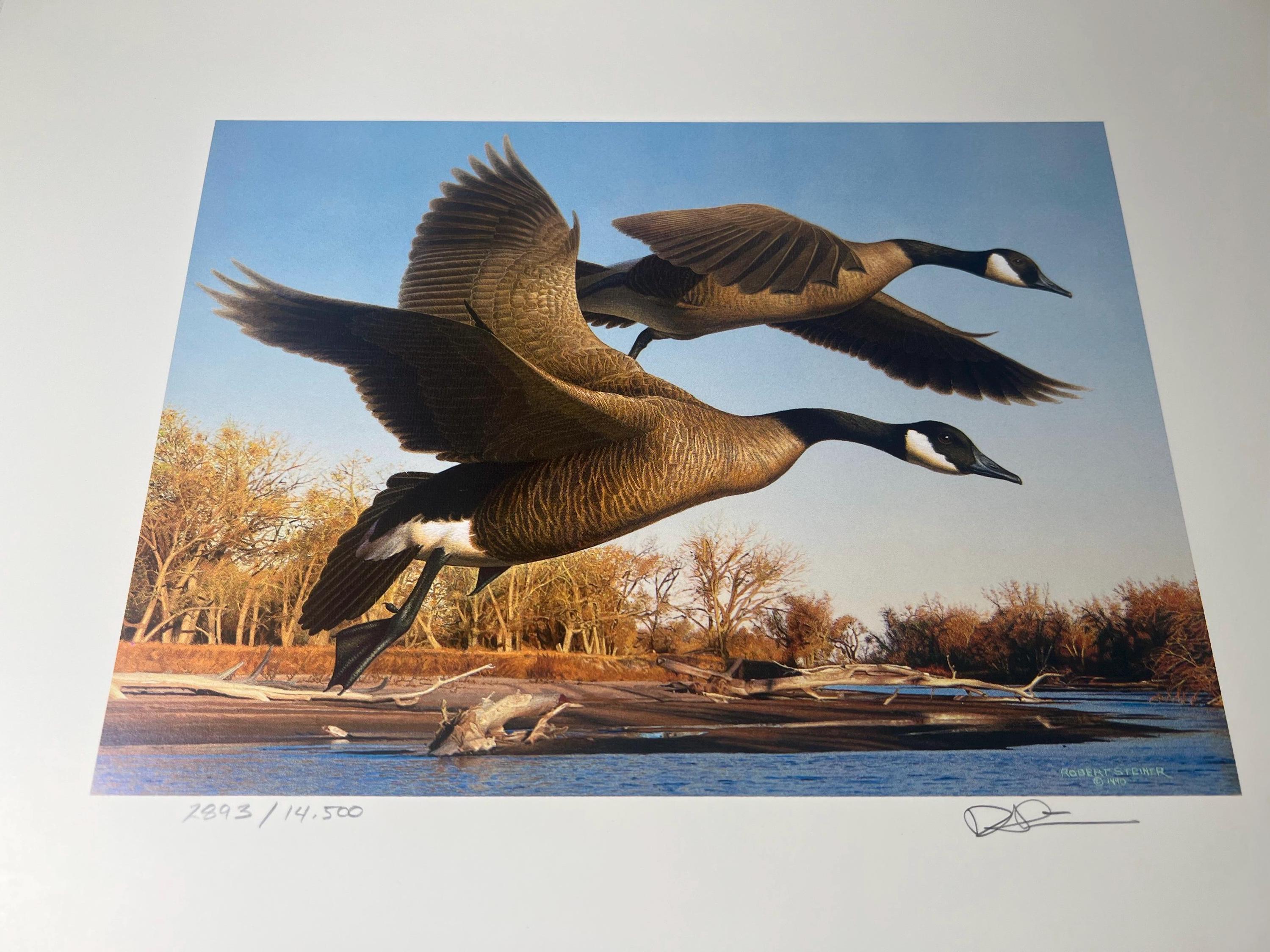 1990 Colorado Duck Stamp Print Set – Robert Steiner Signed, LE