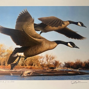 以下が含まれることがあります： 川の上を飛ぶカナダガン2羽の限定版プリント。プリントは2893/10,500と番号が付けられ、アーティストのサイン入りです。