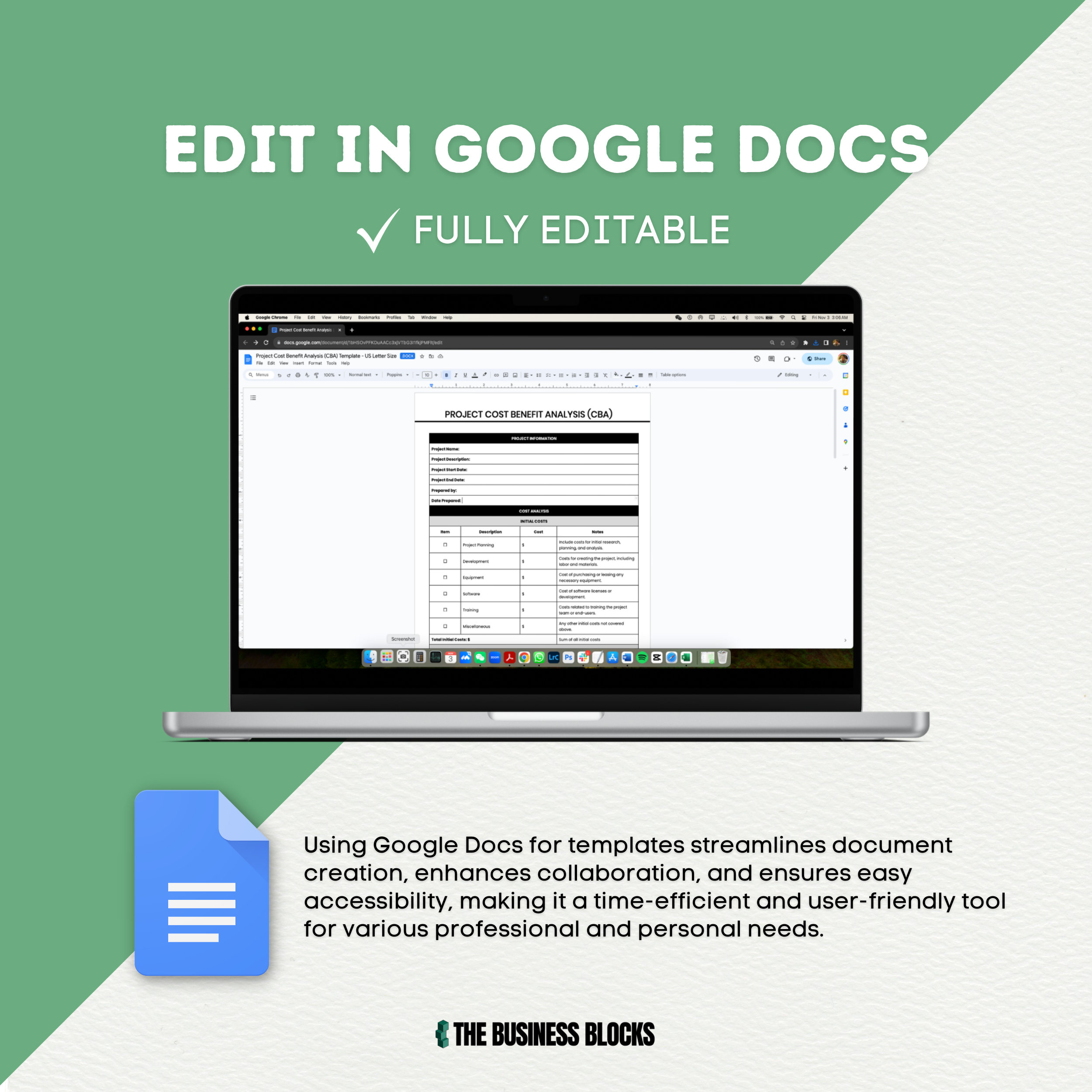 PROJECT COST BENEFIT ANALYSIS EXAMPLE PDF visual data 5