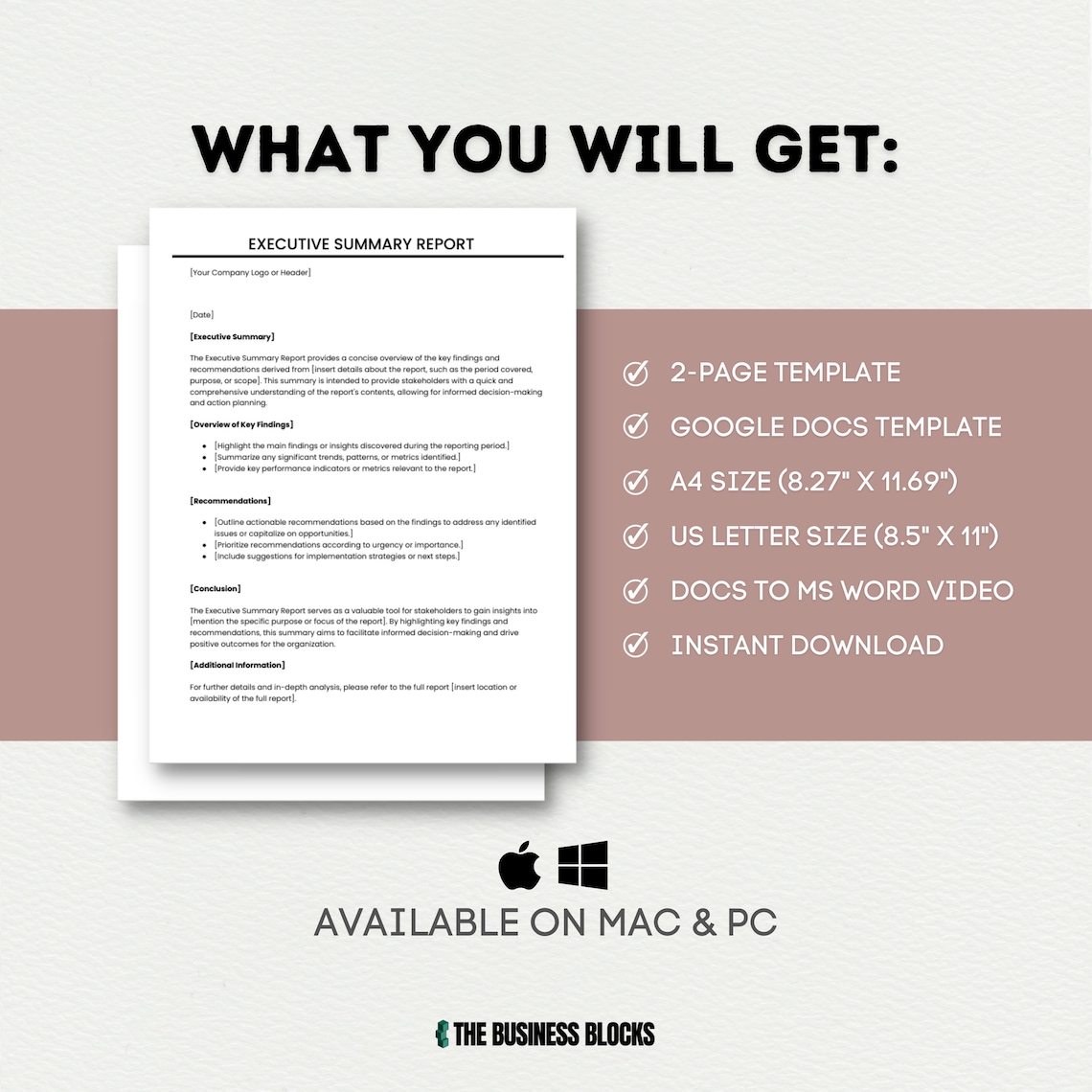 Executive Summary Report Template: Business Management Overview (google ...