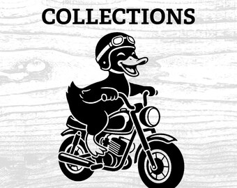 Archivo digital PNG de un pato en una minimoto