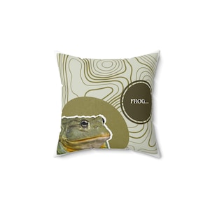 FROG PILLOW