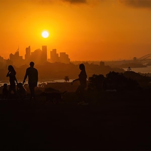 Captivating Sydney Skyline Sunset- Fine Art Prints For Office and Home Décor