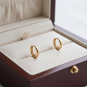 14k mini-ringörhängen, broskringörhängen, små ringörhängen, 14k massivt guld, Huggies i äkta guld, örhänge med andra hålet, tragusring