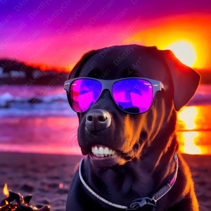 Dog with Sunglasses Digital Image, Sunset at the beach Print, Humor teeth Wall Art, Dog lover Illustration, Humorous Social media graphic