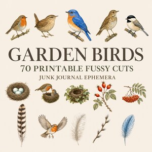 Könnte beinhalten: Eine Sammlung von Garden Birds 70 Printable Fussy Cuts Junk Journal Ephemera mit Illustrationen verschiedener Vögel, Nester, Beeren und Federn. Die Bilder zeigen Rotkehlchen, einen Hüttensänger, eine Meise, Vogelnester, Hagebutten und Federn.