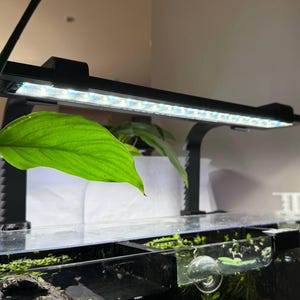 Adjustable Rimless Back-Hanging Light Riser | Custom Fit | Aquascaping/ Terrarium Style| MMS Design Concepts- T5 Light Hanger
