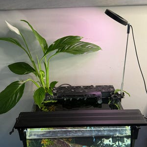Coperchio posteriore per acquario Fluval Flex da 57 litri con porta piante / Design Voronoi / Conversione con parte superiore aperta / Sicuro per acquari / Concetti di progettazione MMS