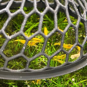 May include: A black plastic dome-shaped net with a hexagonal pattern, containing several small yellow shrimp in a tank with green aquatic plants.