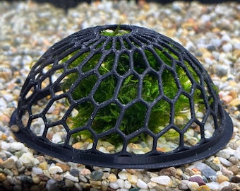 Aquarium Moss Dome Enclosure for Shrimp & Small Fish – 100mm Biofilm Feeder, with Aquarium-Safe PETG, Textured for Moss and Biofilm