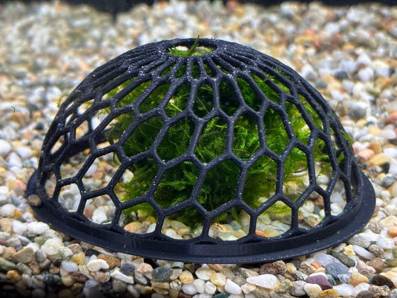 Aquarium Moss Dome Enclosure for Shrimp & Small Fish – 100mm Biofilm Feeder, with Aquarium-Safe PETG, Textured for Moss and Biofilm