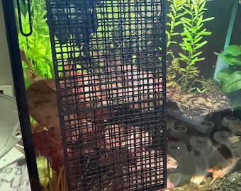 Wall mounted Moss Enclosure/ Grid for Aquariums & Fish Tanks - Grow Moss Carpets with Ease | MMS Innovation