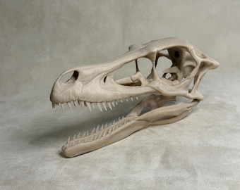 High-Resolution Raptor Skull 3D Print – Ultra-Detailed Dinosaur Fossil Replica