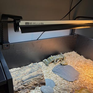 May include: A black and silver LED light fixture mounted on a dark enclosure containing wood shavings, a small turtle, a gray rock, a wooden bridge, and a circular thermometer. The light fixture features the text "ProT5" and "RoHS" printed on its side.
