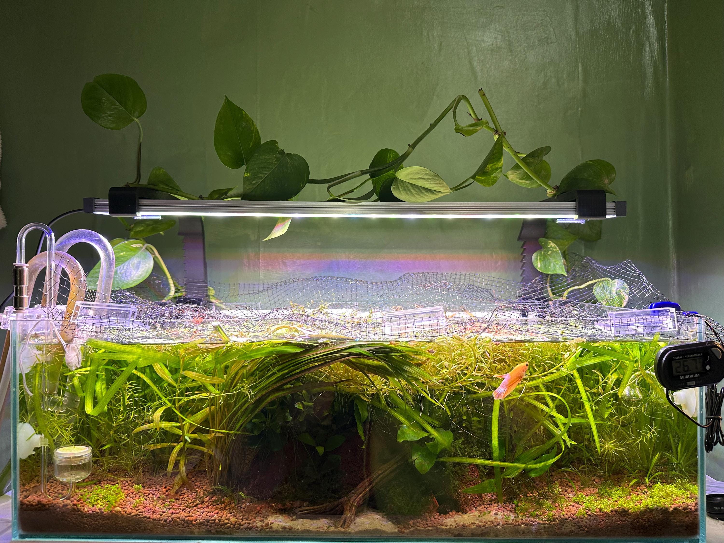 Adjustable Rimless Back-hanging Light Riser | Custom Fit | Aquascaping ...