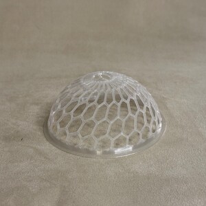May include: A clear plastic dome-shaped cover with a hexagonal mesh pattern. The cover is designed to protect food from insects.