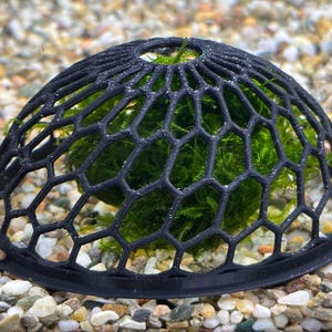 May include: A black plastic dome-shaped mesh plant holder with a green moss ball inside. The holder is designed to allow water to flow through the mesh and keep the moss ball moist.