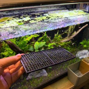 Op de afbeelding: Een zwart plastic rooster voor een aquarium, gebruikt om planten of andere decoraties vast te houden. Het rooster wordt in een hand boven een beplant aquarium gehouden.