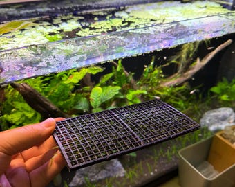 Moss Enclosure/ Grid for Aquariums & Fish Tanks - Grow Moss Carpets with Ease | MMS Innovation