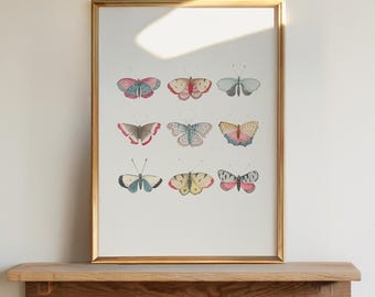 Vintage Schmetterling Wandkunst, Pastell Schmetterling Druck, Sanfte Farben Natur Poster, Cottagecore Dekor
