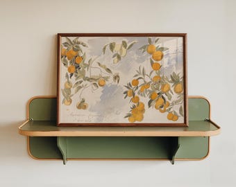 Vintage Orange Botanical Print, Citrus Fruit Art, Cottagecore Kitchen Decor