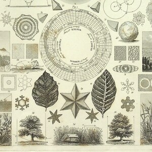 Op de afbeelding: Een vintage zwart-witte illustratie van verschillende geometrische vormen, waaronder sneeuwvlokken, sterren, cirkels en vierkanten. De illustratie bevat ook een aardbol, een deur, een raam en een bergketen. De afbeelding is gelabeld met "Fig. 2" en "Pl. 2".