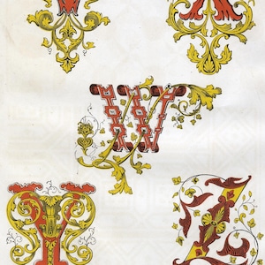 Op de afbeelding: Vijf verlichte hoofdletters, V, W, X, Y en Z, in een decoratief lettertype met uitgebreide gouden en rode bloemmotieven. De letters zijn tegen een witte achtergrond geplaatst. De tekst "ILLUMINATED INITIALS" staat onderaan de afbeelding.