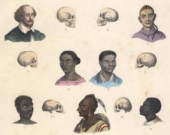 Old human aspects print - Antique Colored Litho by T.Bromme, 1865 - European (Caucasian), Skull of a Caucasian - Race portraits and skulls