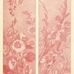 May include: Two illustrations of pink flowers on a white background. The first illustration shows a cluster of pink flowers with white centers. The second illustration shows a cluster of pink flowers with white centers. The text "Bloemen" is at the top of the image. The text "Decoratie motieven VII." is at the bottom left of the image. The text "Red: Vademecum der Bonwrakker, Amsterdam." is at the bottom right of the image. The text "Naar teekening van A. Erdmann." is at the bottom center of the image.