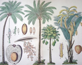 【大型本】FLOWER＆FRUIT PRINTS　ボタニカル standard-postcard-4x6-front-