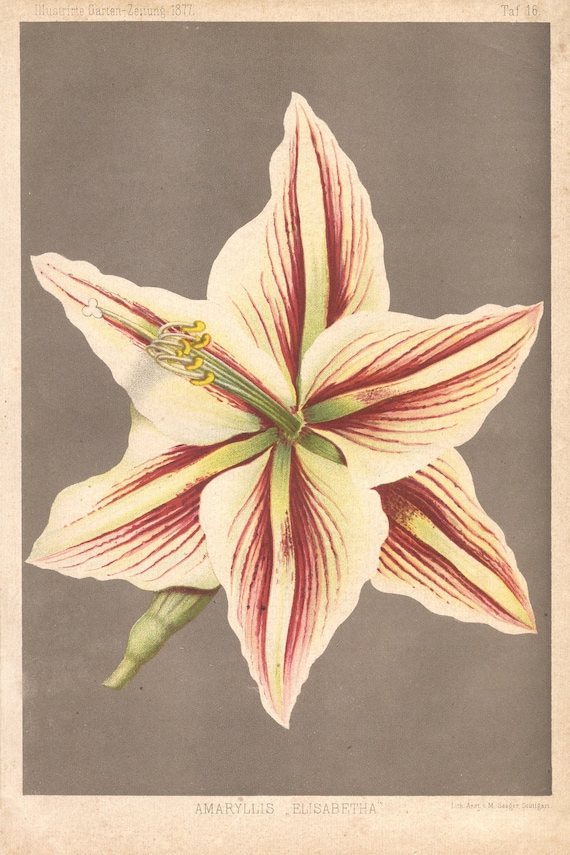Pair of Late 19th Century Antique Chromolithographs by J. N. Fitch Pair of Late 19th Century Antique Chromolithographs by J. N. Fitch