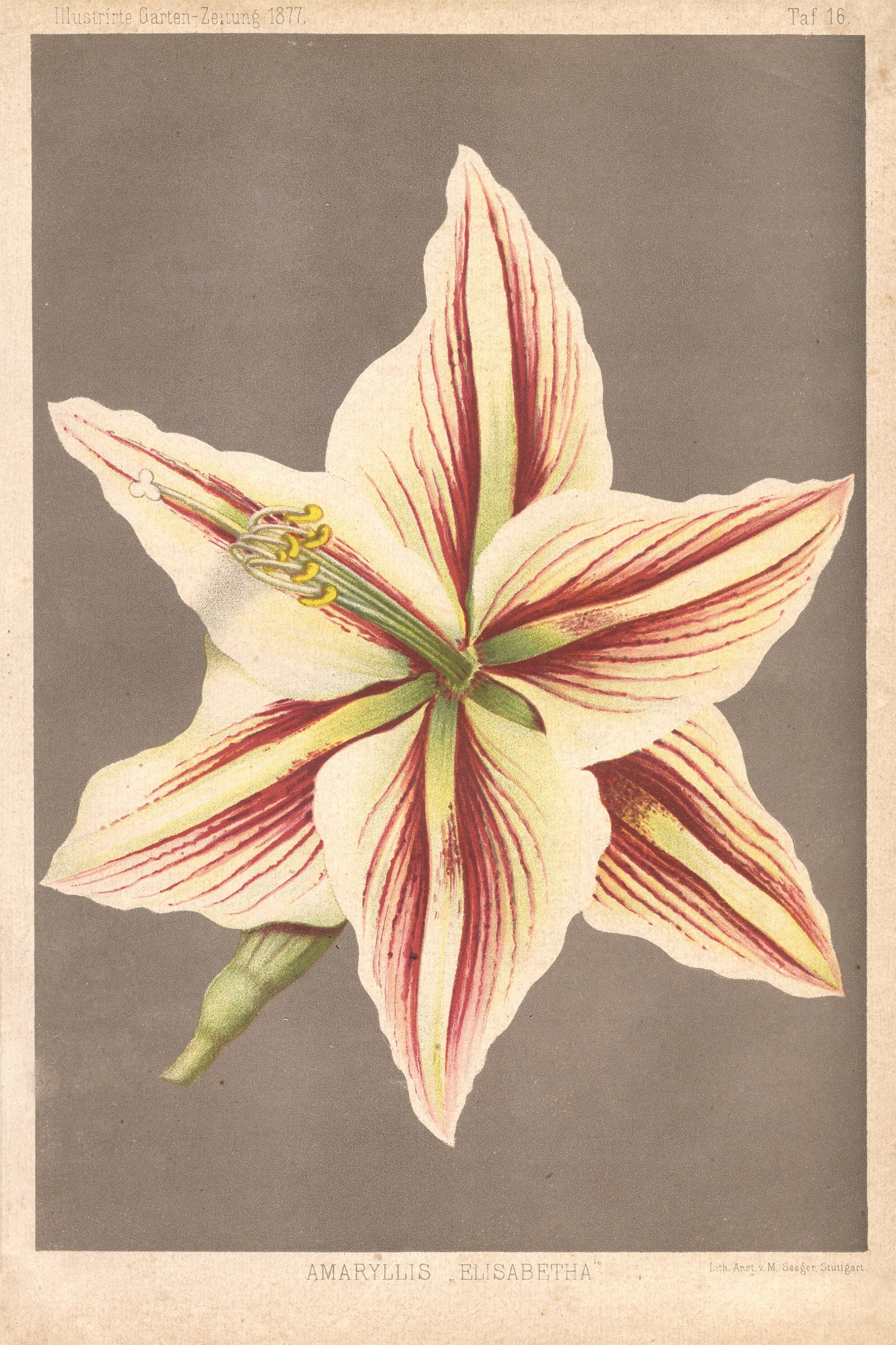 Pair of Late 19th Century Antique Chromolithographs by J. N. Fitch Pair of Late 19th Century Antique Chromolithographs by J. N. Fitch