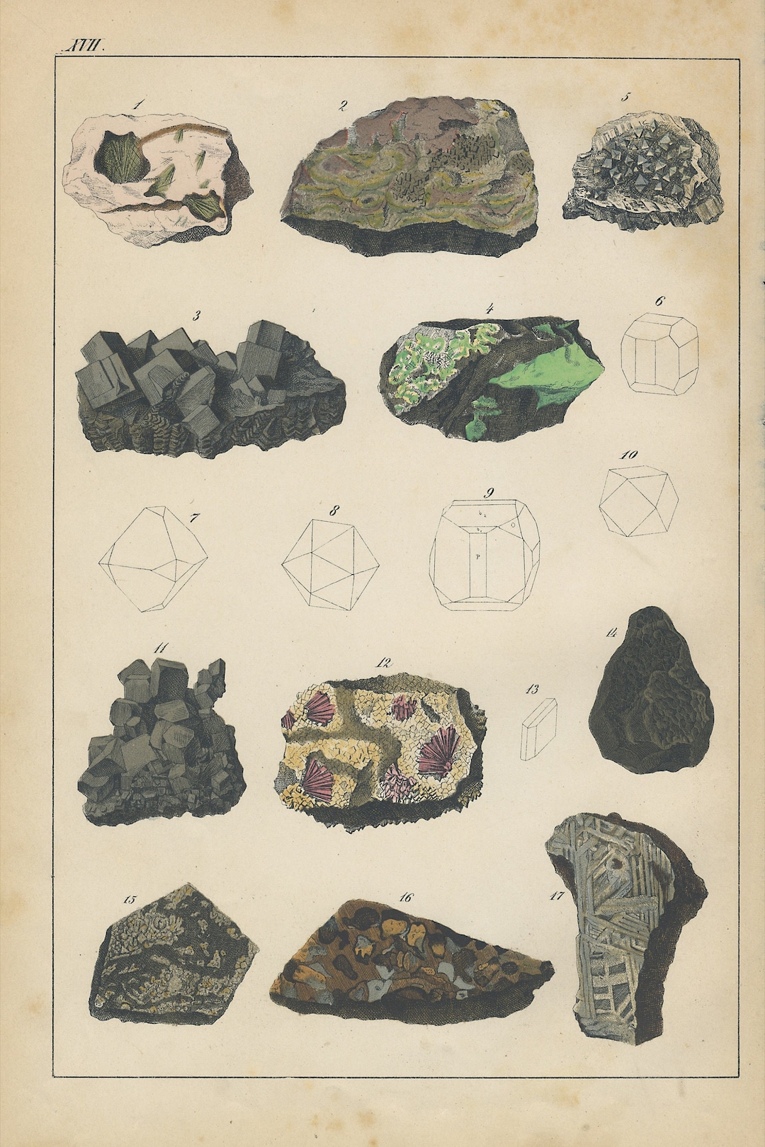 Das Mineralreich In Bilder Antique Hand colored Lithograph From 1878 das-mineralreich-in-bilder-antique-hand-colored-lithograph-from-1878