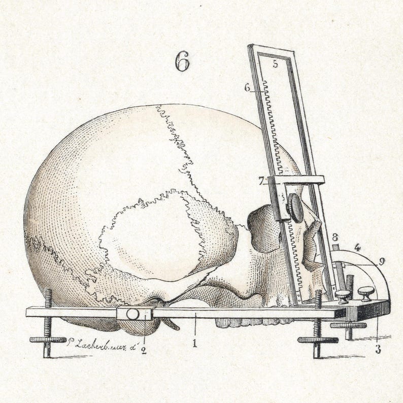 May include: A black and white illustration of a human skull being measured with a tool. The skull is held in place by a metal frame with a screw. The tool has a ruler and a protractor. The numbers 1 through 9 are labeled on the tool. The text "P. Lackebuch. war d." is visible on the frame.