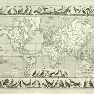 Op de afbeelding: Een vintage zwart-wit wereldkaart getiteld WELTKARTE, met gedetailleerde contouren van continenten, lengte- en breedtegraden, en talrijke genummerde illustraties van verschillende vogelsoorten langs de boven- en onderranden van de kaart.