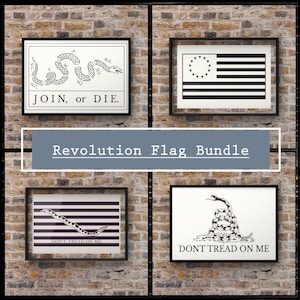 Historic American Revolution Flag and Political Cartoon Digital File Bundle - Svg, Png, Pdf, Jpeg, Dxf