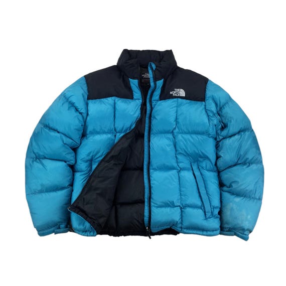 レビュー高評価の商品 Vintage the North Face 800 Summit Series Puffer Jacke ジャケット・アウター