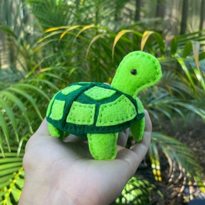 Turtle Friend