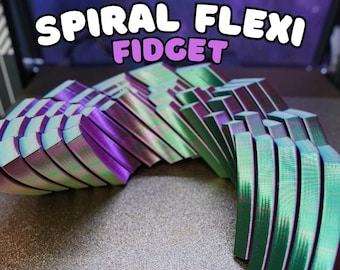 Spiral Flexi Grid Fidget