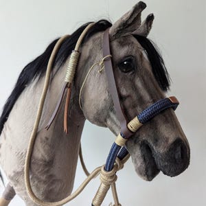 Showman 5/8 Bosal In Pelle Grezza Con Nucleo – Colori Naturale, Teal & Nero