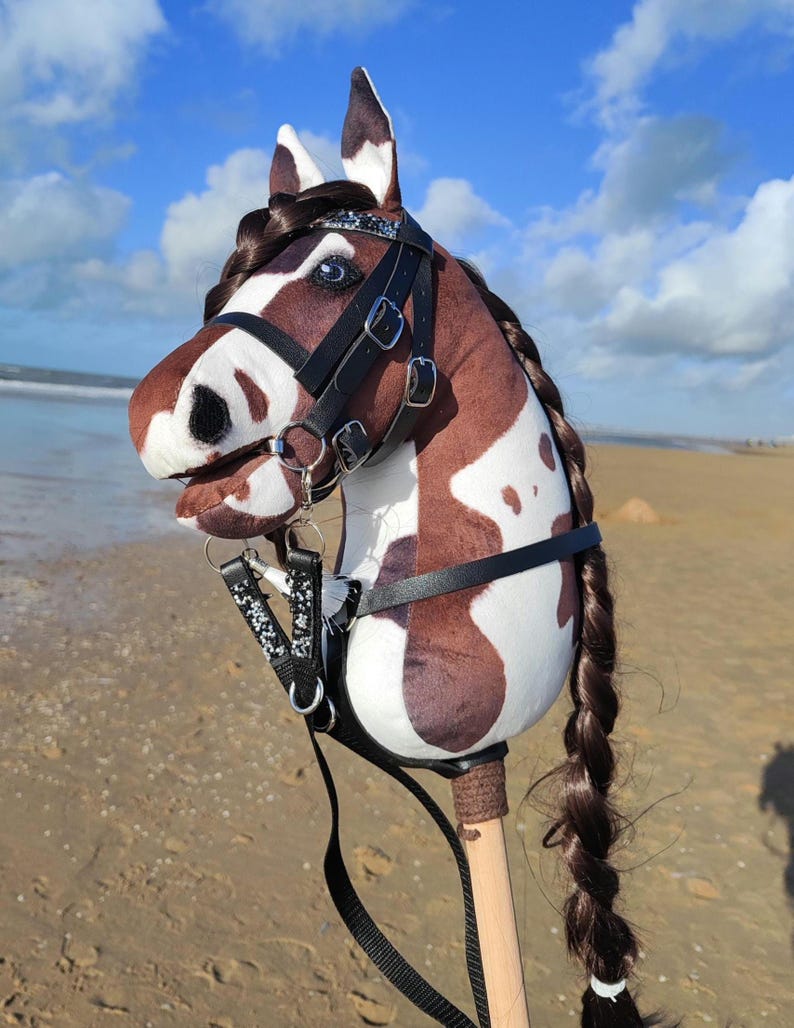 Hobby Paardenhoofdstel, hoofdstel met teugels en martingaal set van 3