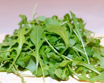 RUCOLA (Rucola coltivata) Samen. Salatrauke, Senfraute.