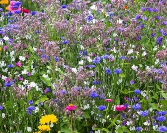 ORIGINAL VEITSHÖCHHEIMER BIENENWEIDE Blumenwiese Wildblumen Samen. Mehrjährige Bienenweide.