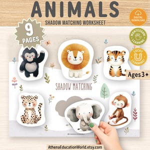 Puede incluir: Una hoja de trabajo de emparejamiento de sombras para ni&ntilde;os, con ilustraciones de animales, adecuada para ni&ntilde;os de 3 a&ntilde;os o m&aacute;s. Incluye un gorila, un le&oacute;n, un tigre, un leopardo, un elefante y un mono. El t&iacute;tulo "ANIMALES" est&aacute; en la parte superior.