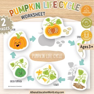 Puede incluir: Una hoja de trabajo sobre el ciclo de vida de la calabaza con ilustraciones coloridas de las etapas de crecimiento, incluyendo semillas, brote, flor, calabaza verde y naranja. La página incluye etiquetas, flechas azul claro y sellos circulares que indican 2 páginas, descarga digital, aprendizaje Montessori y 3 años en adelante.