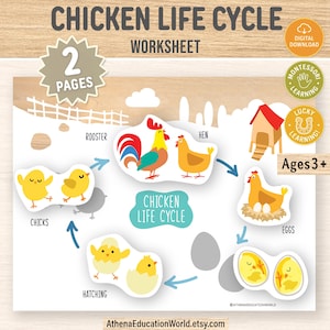 May include: A worksheet illustrating the chicken life cycle, featuring a rooster, hen, chicks, eggs, and hatching. The title "Chicken Life Cycle Worksheet" is displayed at the top, with "2 Pages" and "Ages 3+" labels. The image includes the text "Digital Download" and "Montessori Learning".
