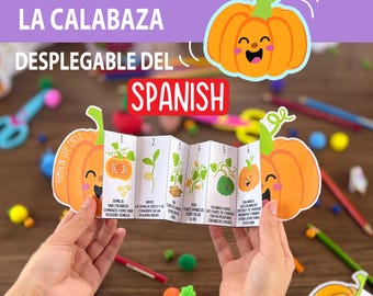 Spanish Pumpkin Life Cycle Craft Printable for Kids, Fall Science Activity, Preschool Classroom Foldout Project,Pumpkin Life Cycle Worksheet